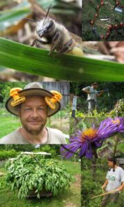 Homestead Still Productive During The Drought Image